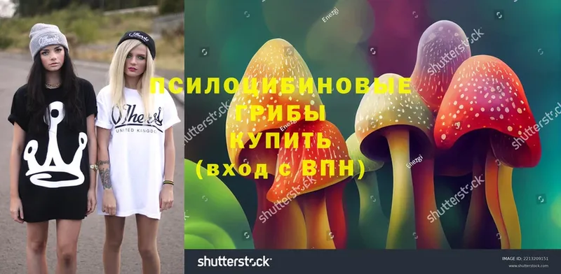 Галлюциногенные грибы MAGIC MUSHROOMS  hydra зеркало  Советский 